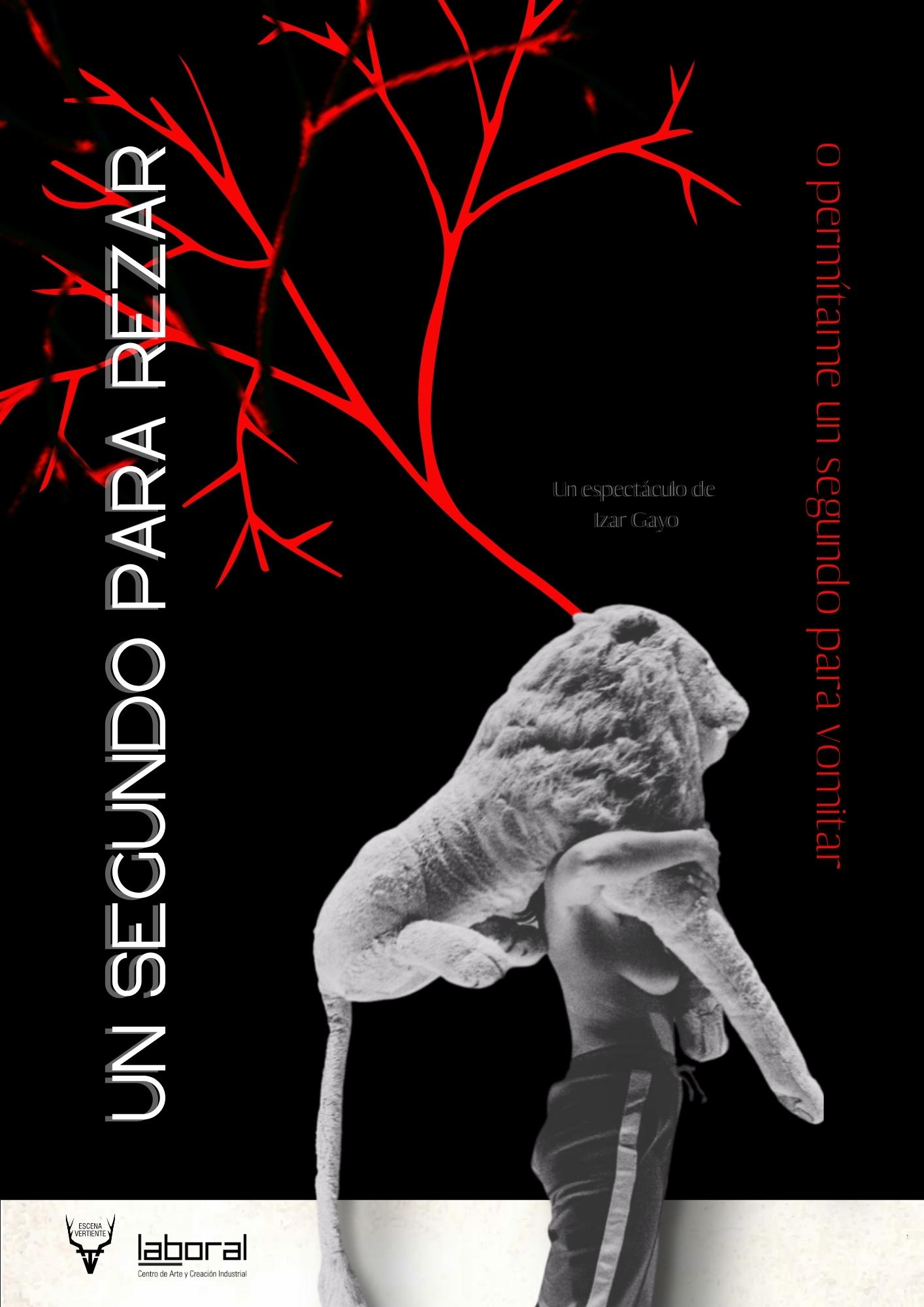 danza